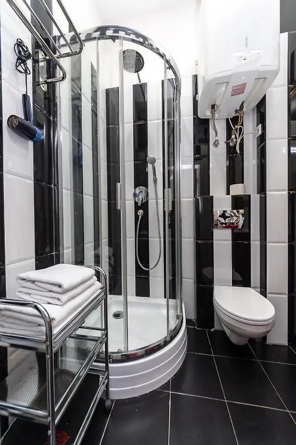Alex Apartments Near Kreshatik St Kyiv
